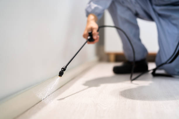 Certified termite inspector examining foundation in Kemah
