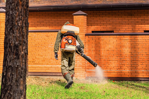 Bed Bug Clearance Verification and Documentation in Kemah